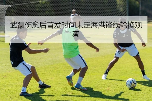 武磊伤愈后首发时间未定海港锋线轮换观察